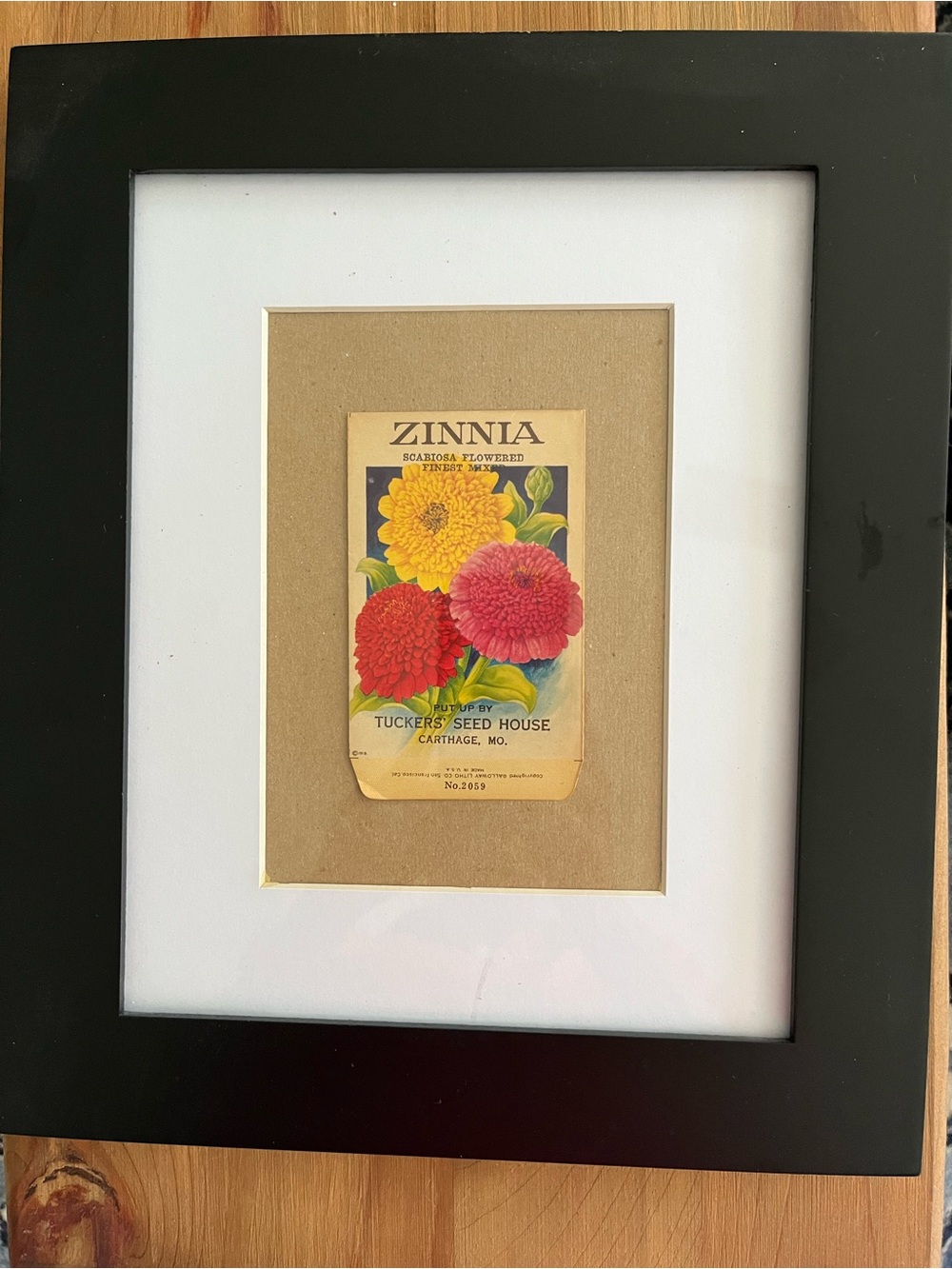 Framed Vintage Zinnia Seed Packet Art - Black Frame